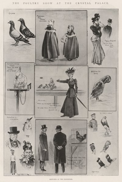 The Poultry Show at the Crystal Palace by Ralph Cleaver
